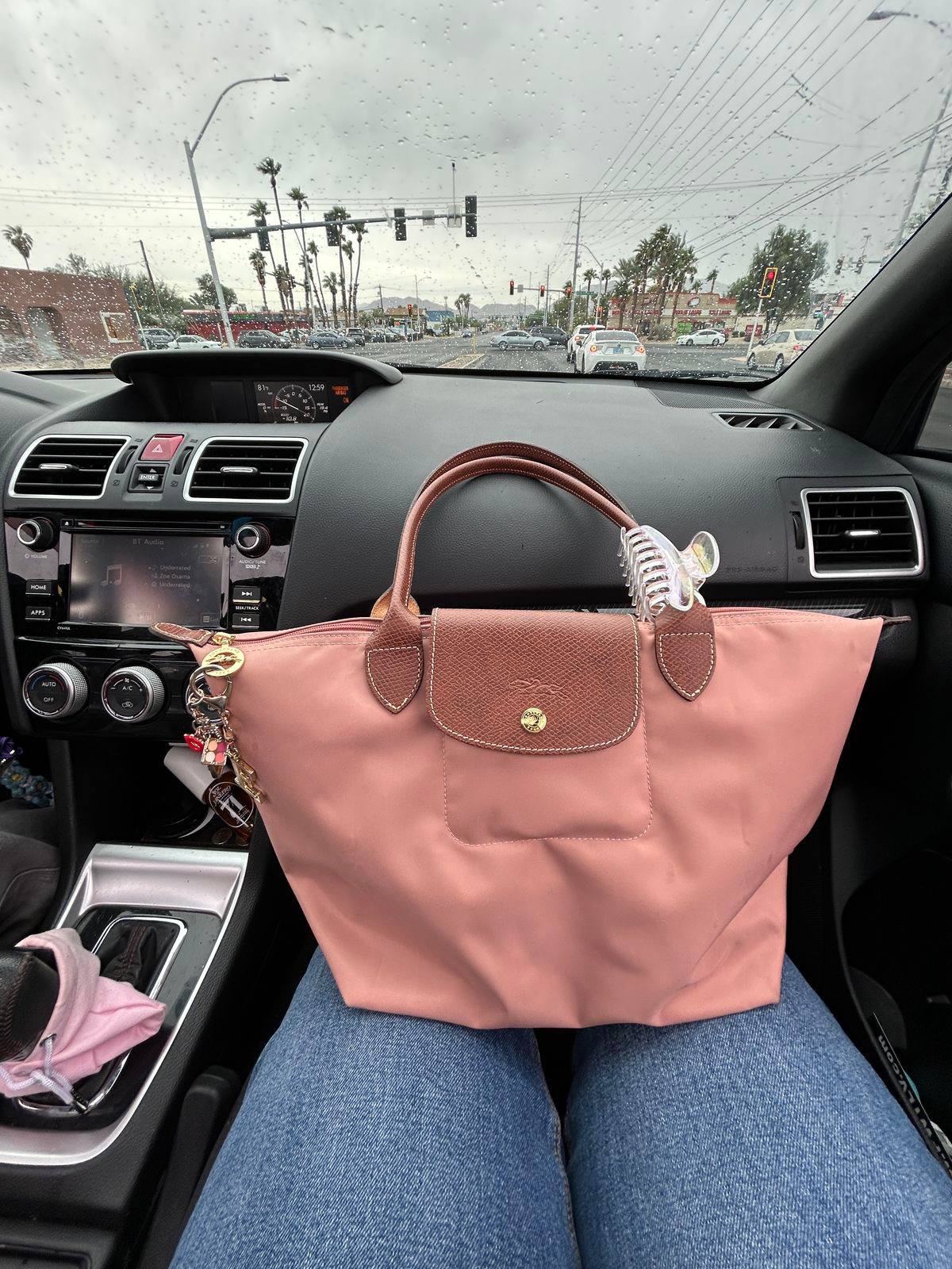Longchamp Le Pliage handbag – Hacoo link