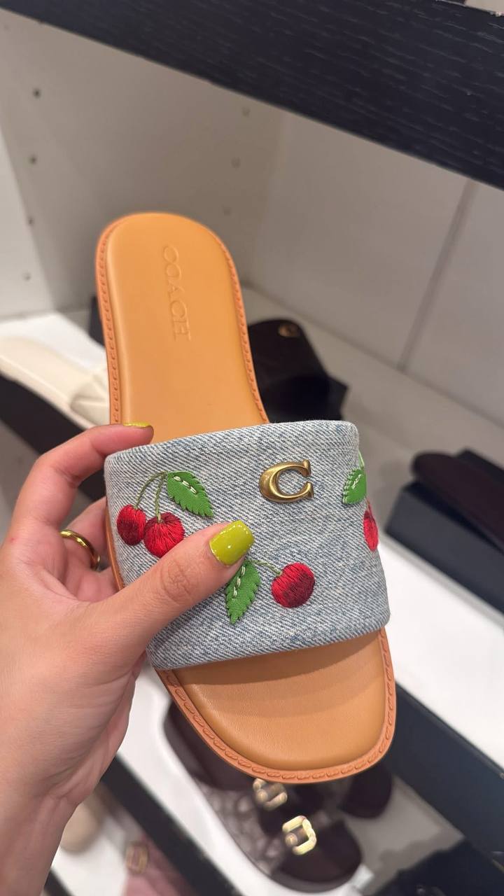 Chinelos Coach – Link da Hacoo