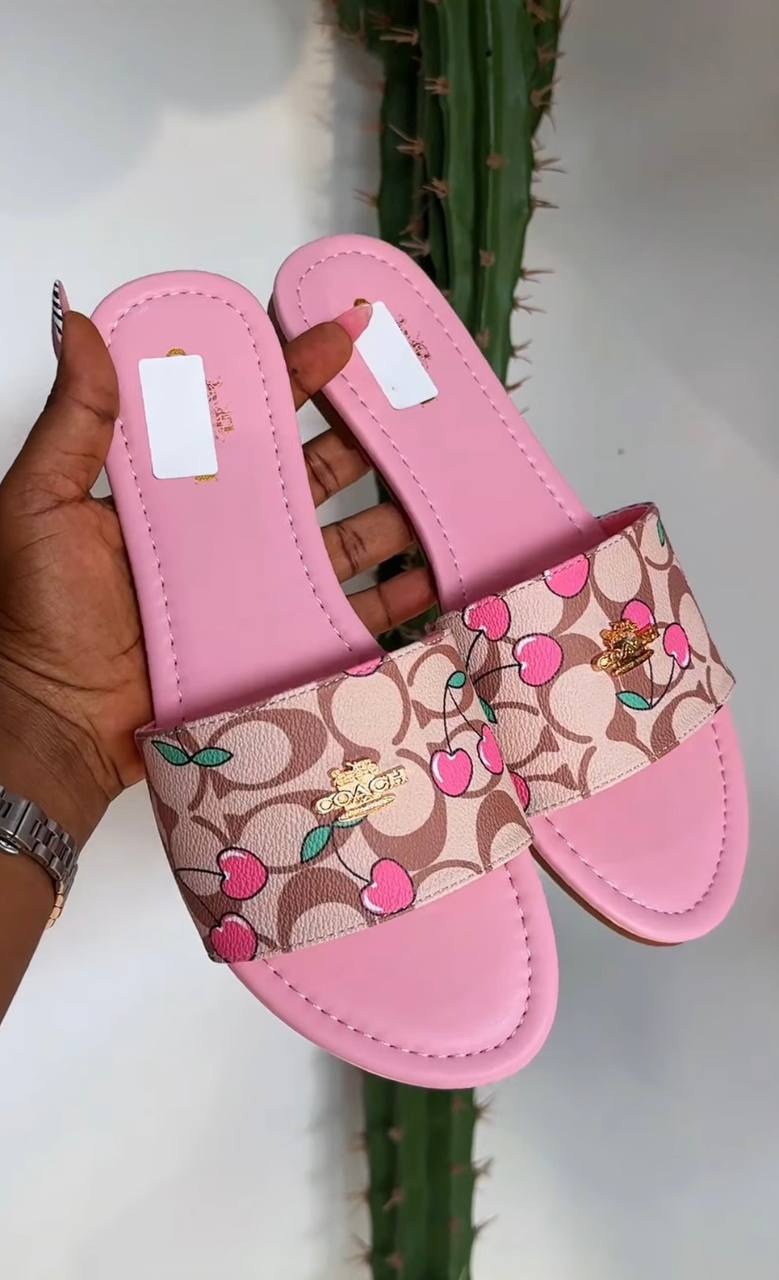 Chinelos Coach – Link da Hacoo · foto 2