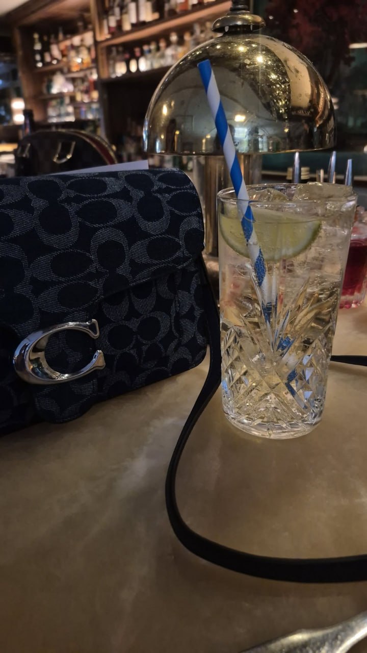 Coach handbag – Hacoo link