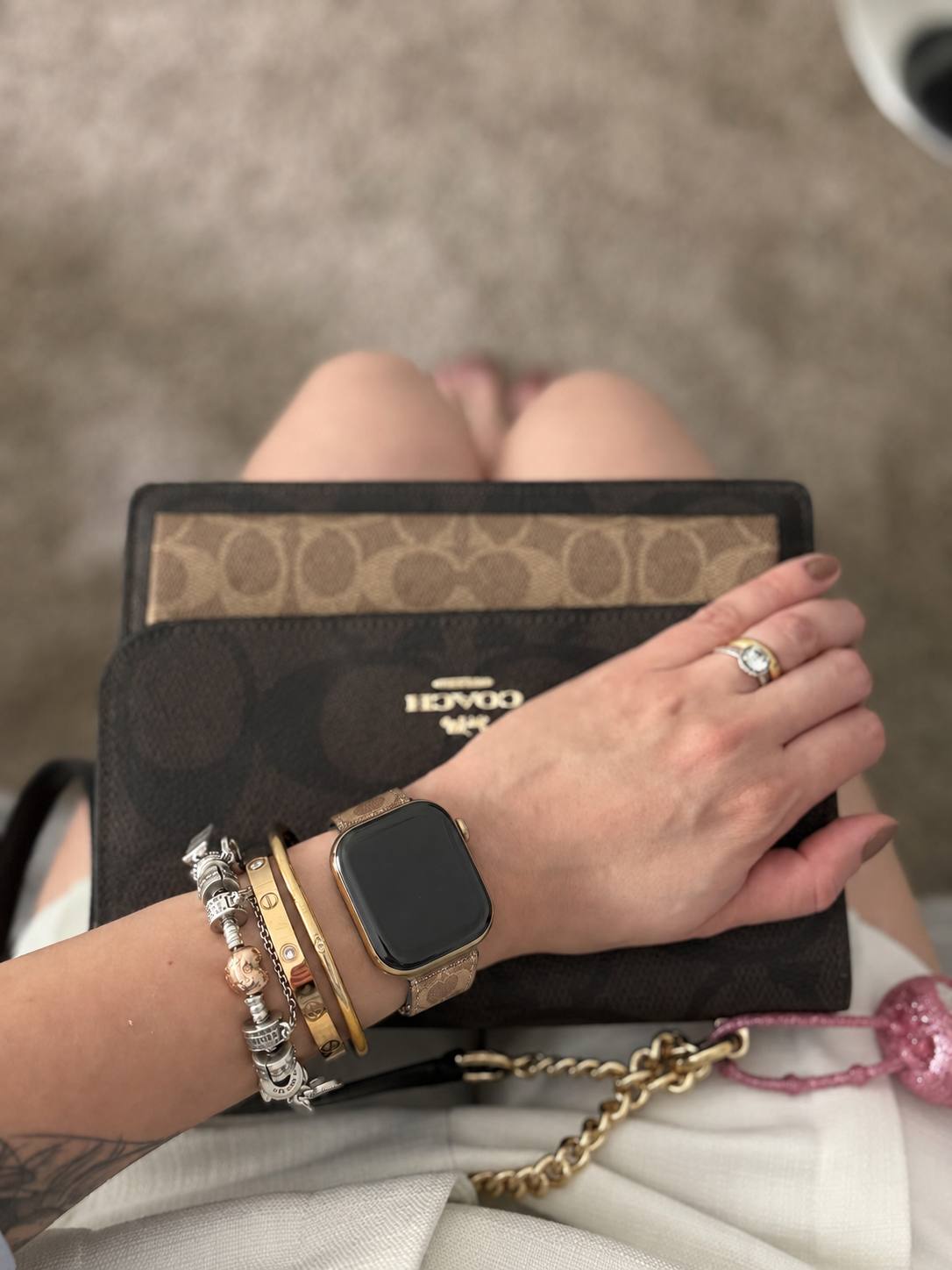 Cartera Coach Accessories and Cases List – Enlace de Hacoo · foto 2