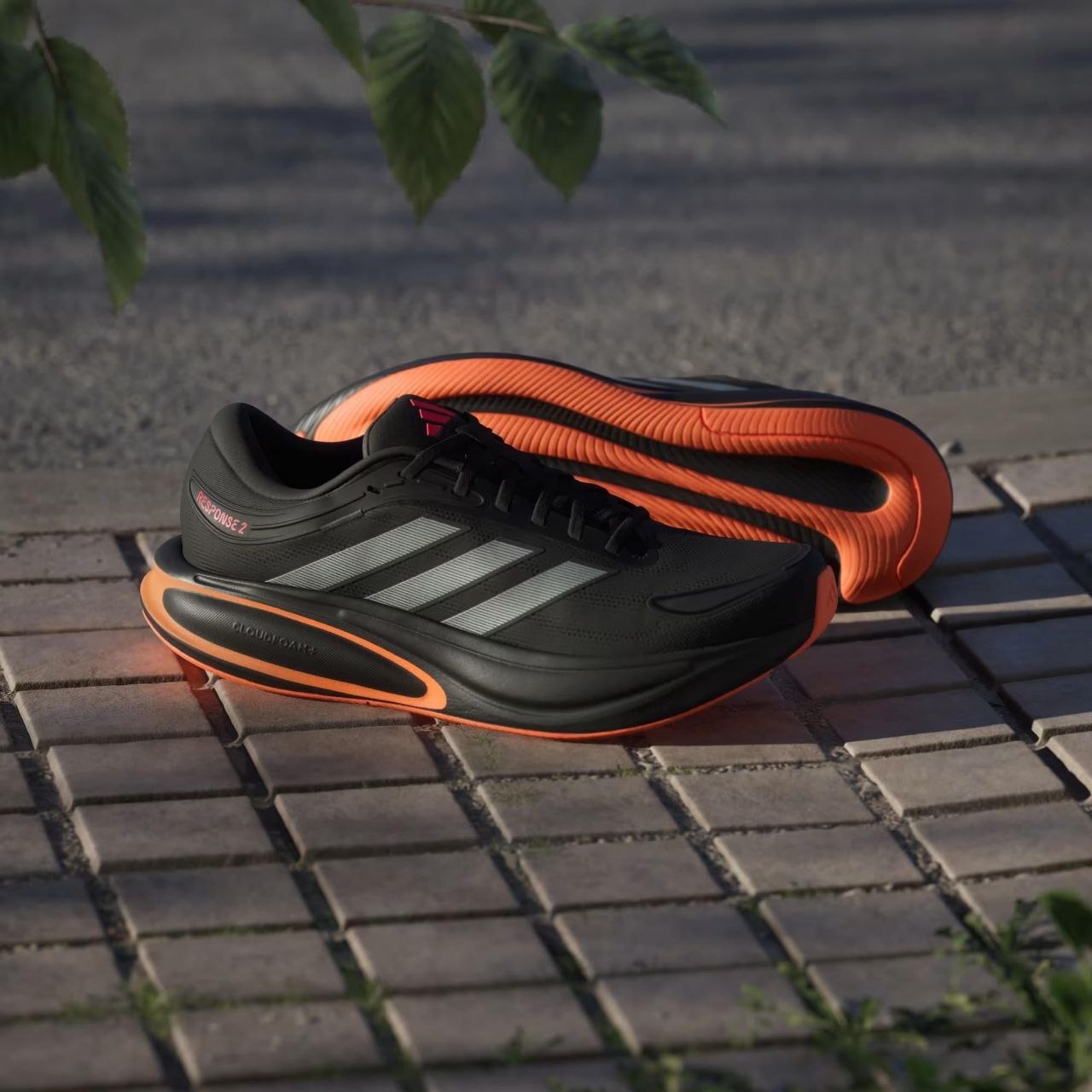 Adidas Trainers List – Hacoo link · photo 4