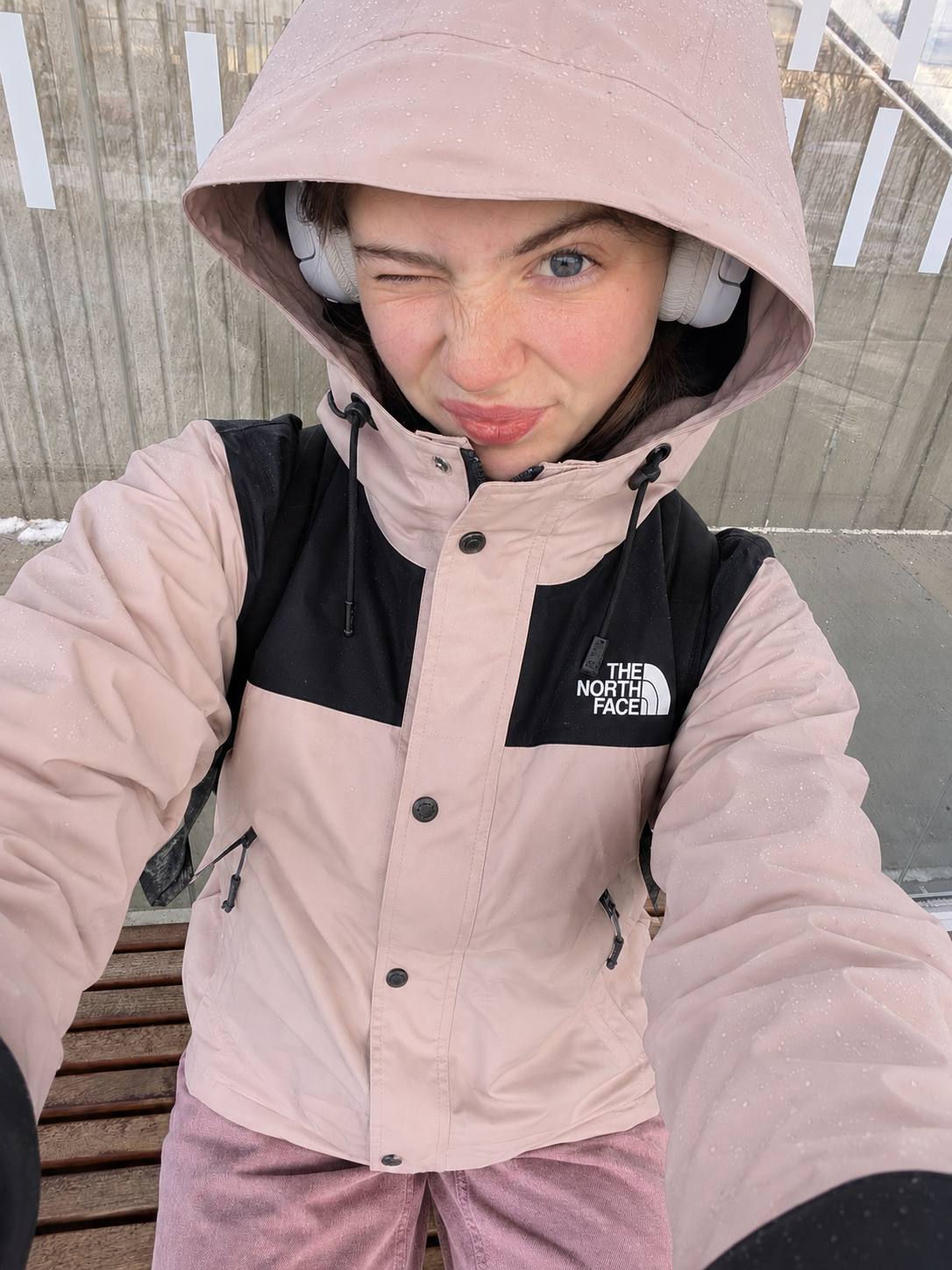 Casaco The North Face – Link da Hacoo · foto 2