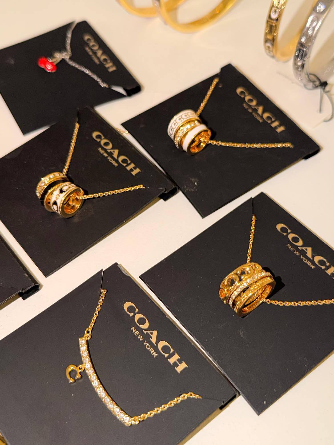 Lista de Coach Accesorio – Hacoo-Link · Foto 2