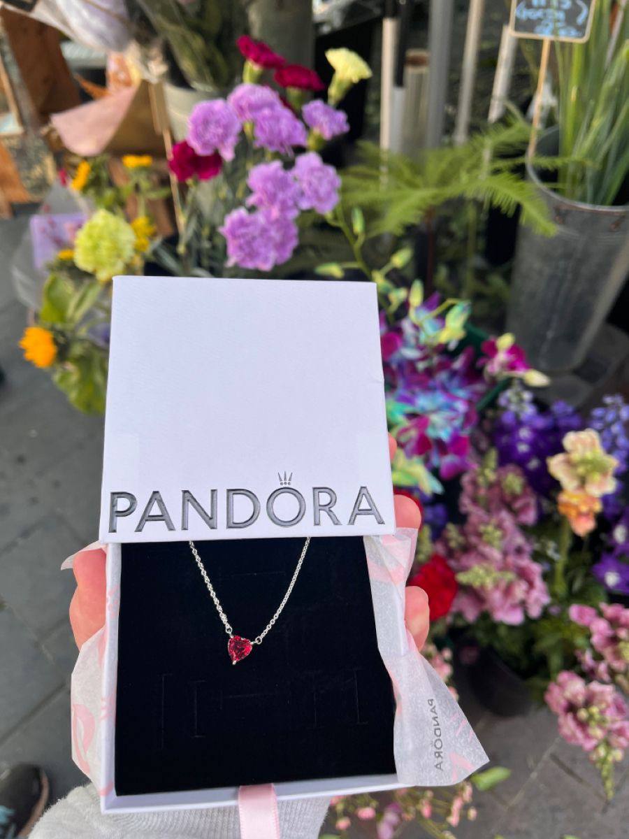 Pandora Accessories List nyaklánc – Hacoo link · fotó 5