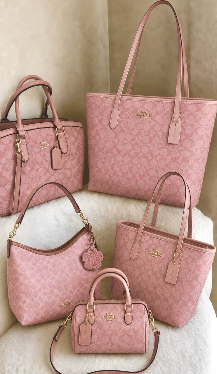 Coach Bag List – Hacoo-Link