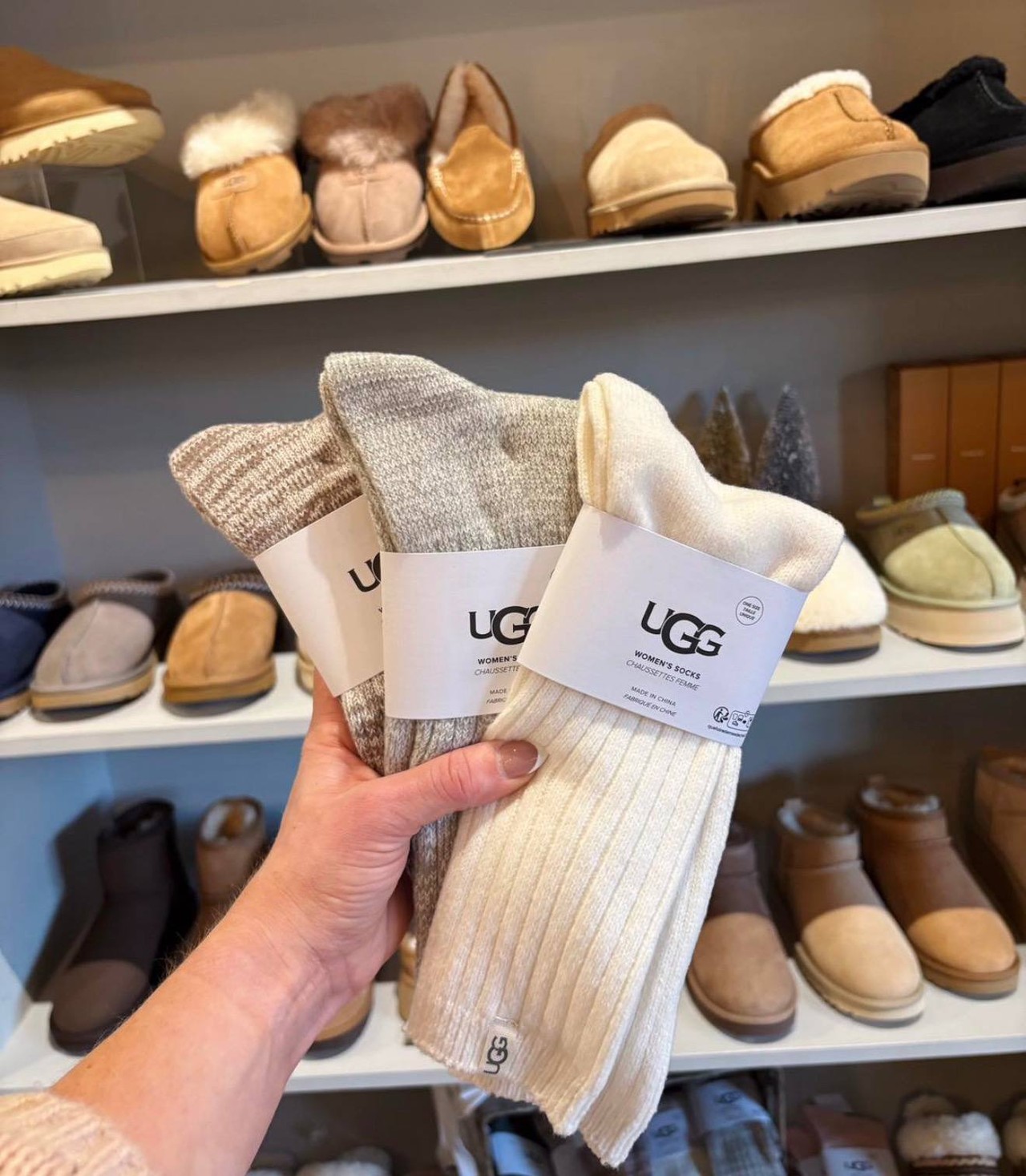 Ugg – Hacoo-Link · Foto 2