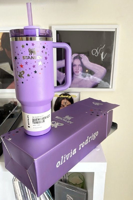 Copo térmico Stanley Quencher H2.0 – Link da Hacoo