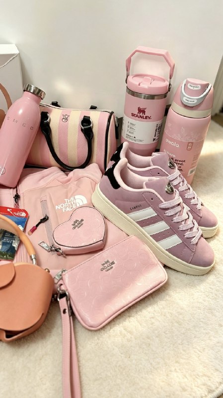 Coach · Sol de Janeiro · Stanley · Victoria Secret – Hacoo-Link · Foto 3