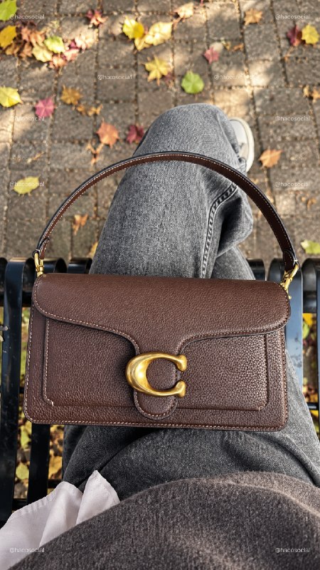 Mala Coach – Link da Hacoo · foto 3