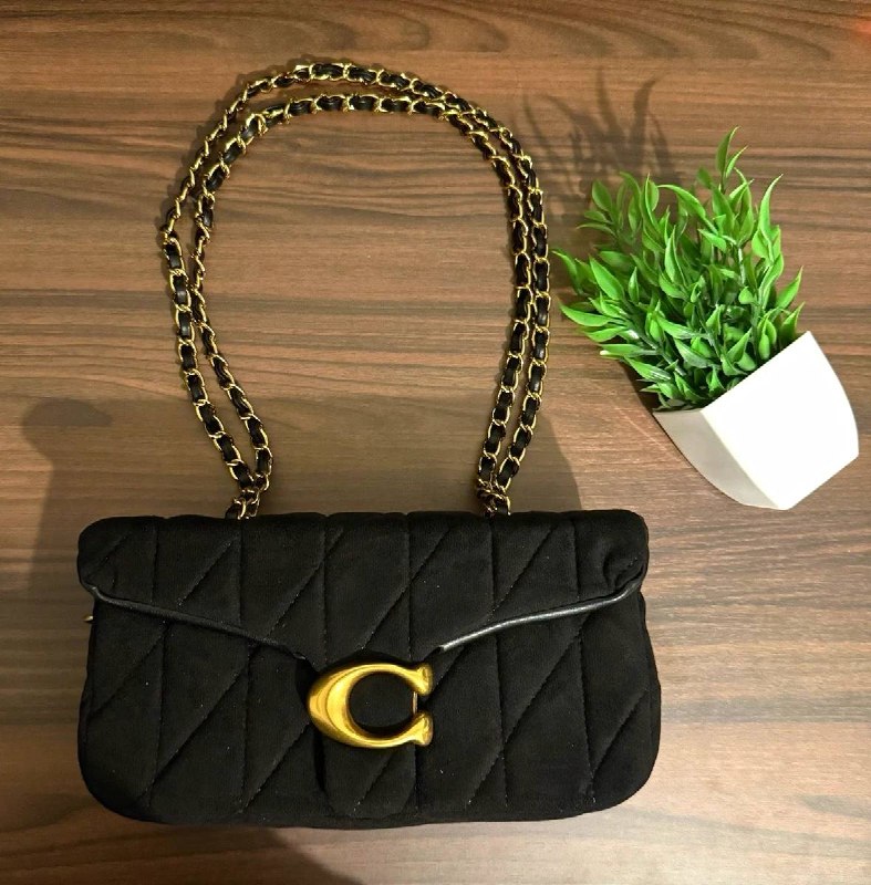 Borsa Coach Tabby – Link Hacoo · foto 2