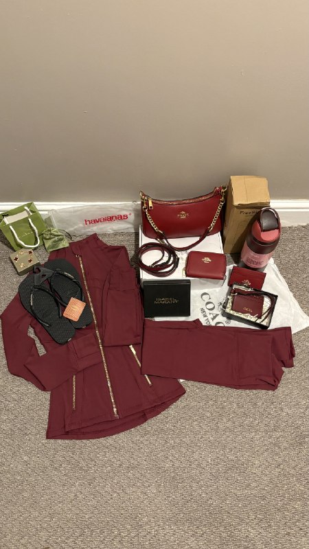 Sac à main Owala / Coach / isabel marant / Van Cleef Arpe – Lien Hacoo