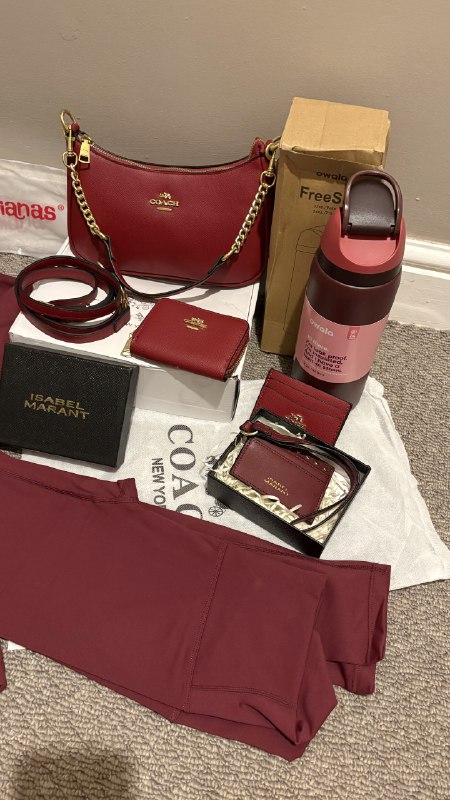Sac à main Owala / Coach / isabel marant / Van Cleef Arpe – Lien Hacoo · photo 3