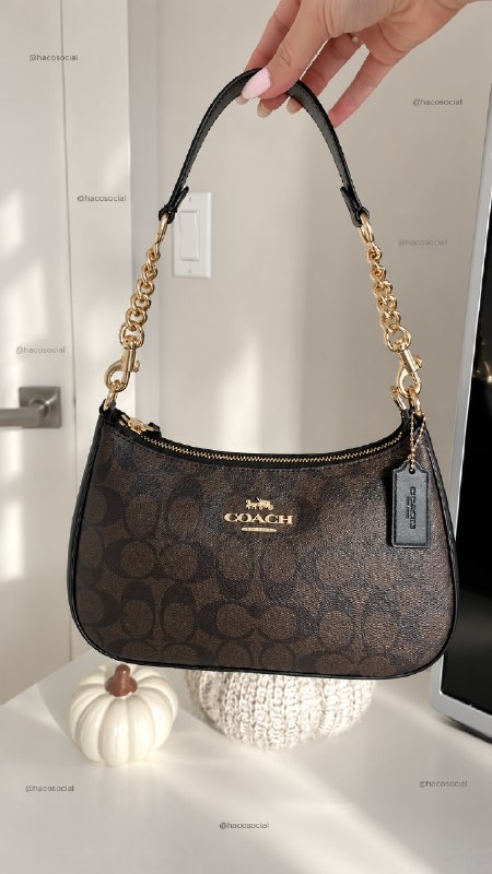 Coach teri handbag – Hacoo link