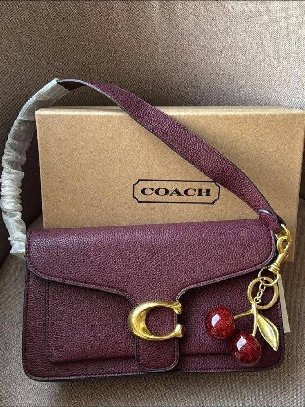Borsa a tracolla Coach Tabby – Link Hacoo