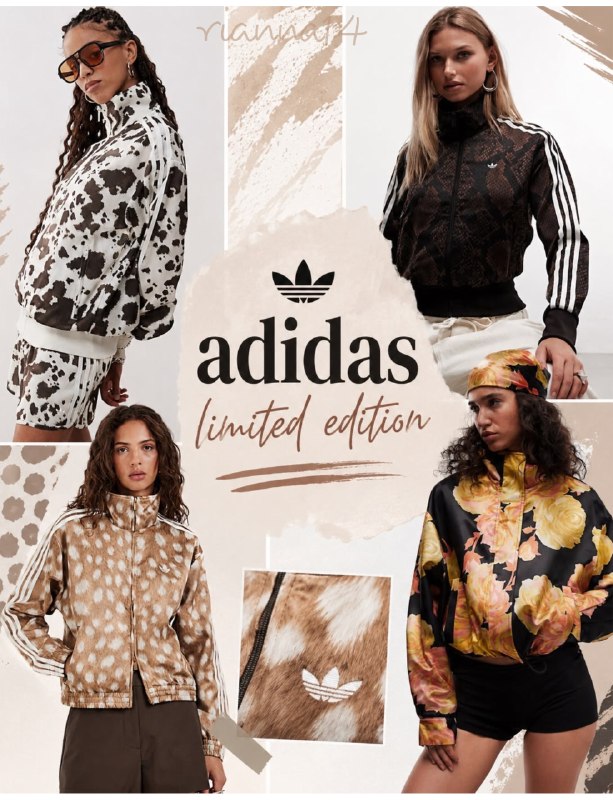 Jersey · Chaqueta deportiva · Chándal · Pantalones / pantalones deportivos – Link Hacoo · foto 2