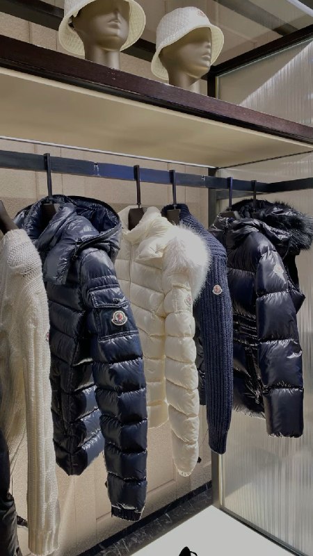 Canada Goose · The North Face · The North Face Puffer de peluche · Moncler – Lien Hacoo
