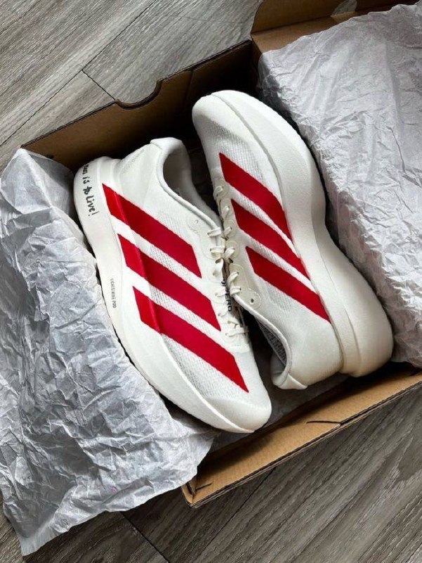 Adidas Adizero Evo SL sneakers – Hacoo link · photo 4