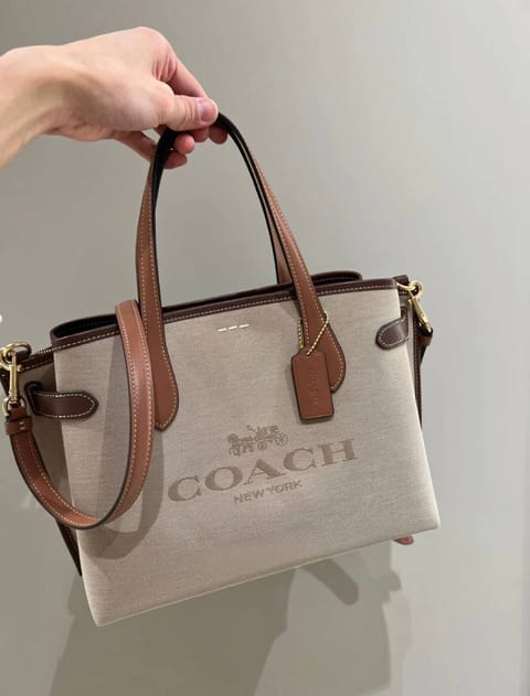 Coach handbag – Hacoo link