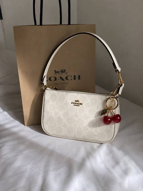 Coach handbag – Hacoo link
