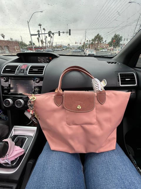 Longchamp Le Pliage handbag – Hacoo link
