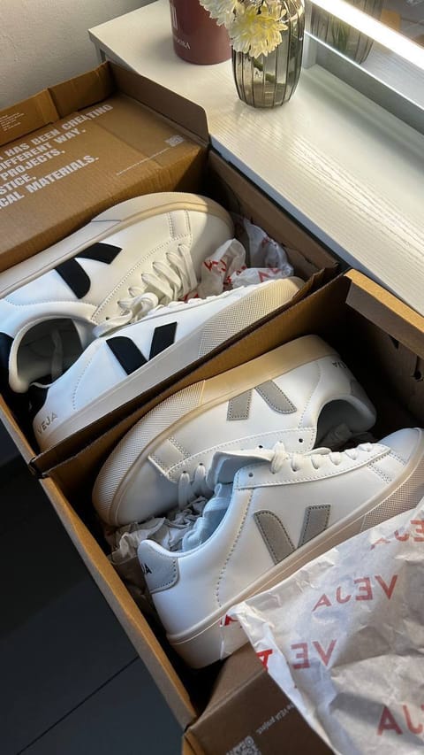 Sneakers Veja – Link Hacoo