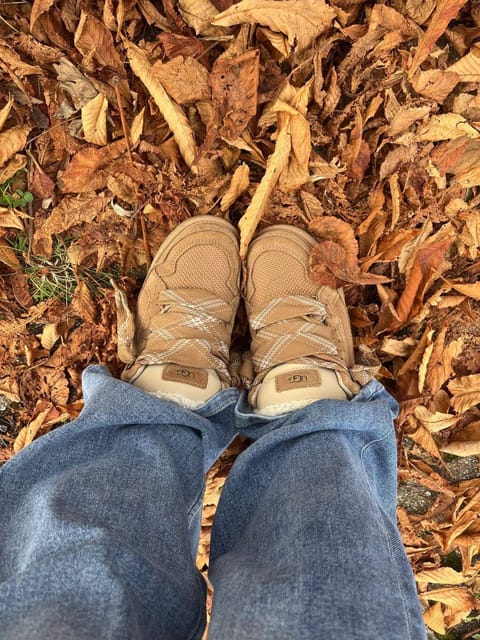 Ugg Lowmel shoes – Hacoo link