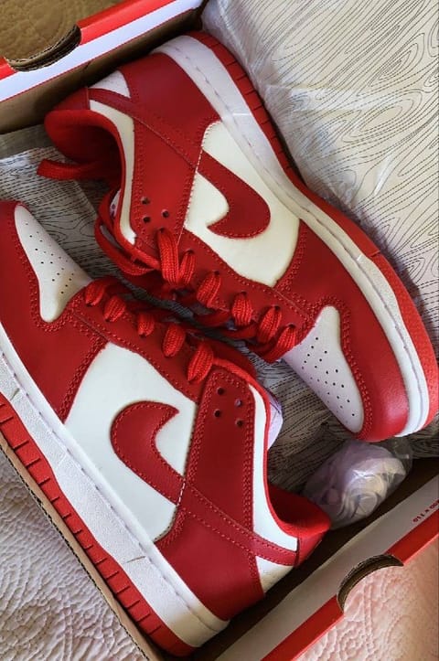 Nike Dunk Sneaker – Hacoo-Link