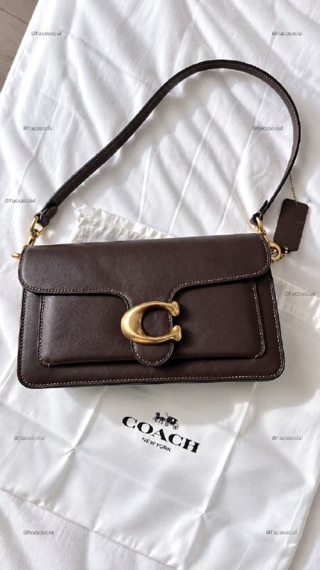 Coach handbag – Hacoo link