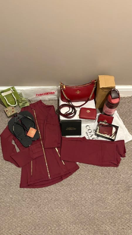 Owala / Coach / isabel marant / Van Cleef Arpe handbag – Hacoo link