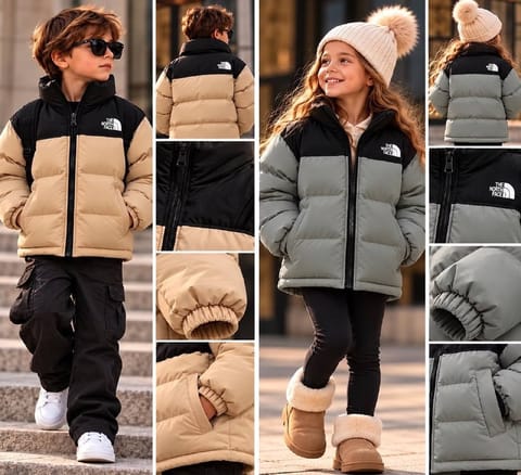 The North Face puffer jacket – Hacoo link